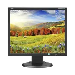 NEC EA193MI