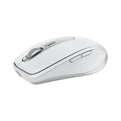 computer mouse