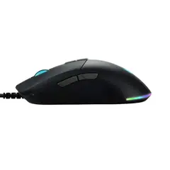 computer mouse