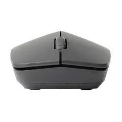 computer mouse