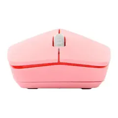 computer mouse