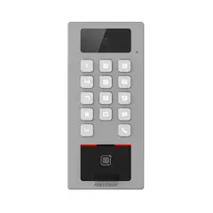 هيكفيجن DS-K1T502DBFWX-C