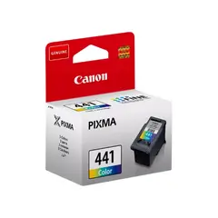 Canon ink