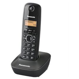 Panasonic KX-TG1611FXH
