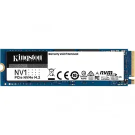 ​Kingston NV1