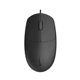 Rapoo N100C