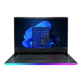 Msi GE66 Raider 11UH-202US