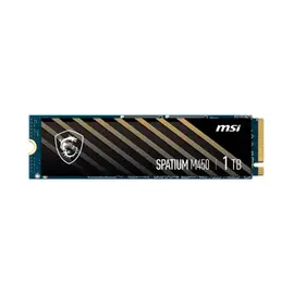 MSI Spatium M450