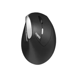 Rapoo EV250