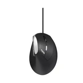 Rapoo EV200