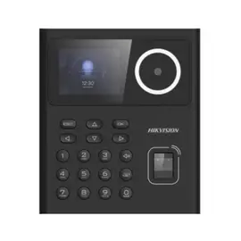 هيكفيجن DS-K1T320EFWX-B