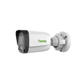 Tiandy TC-C321N