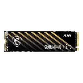 Msi Spatium M470 Pro