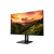 computer monitor