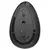 vertical mouse egypt