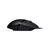 mouse egypt