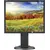 computer monitor