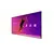 Screen Signage Display