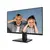 pc monitor