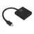 DisplayPort to HDMI Adapter