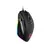 rgb mouse