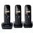باناسونيك KX-TG1613