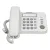 Panasonic KX-TS520FX