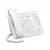 باناسونيك KX-DT521
