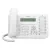Panasonic KX-DT543X
