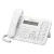 Landline Phone