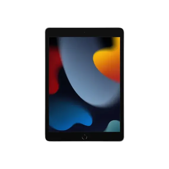 iPad