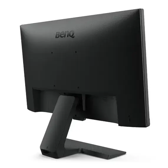 monitors egypt