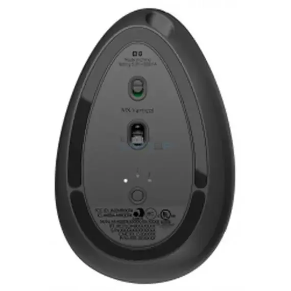 vertical mouse egypt