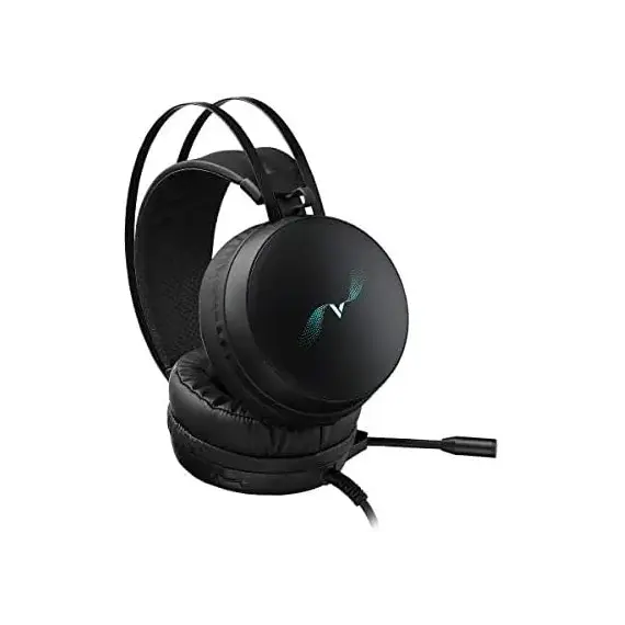 Rapoo VH310