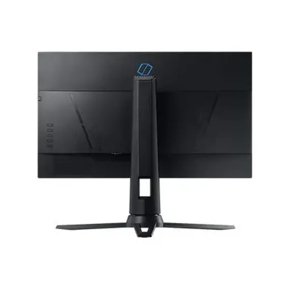 monitors egypt