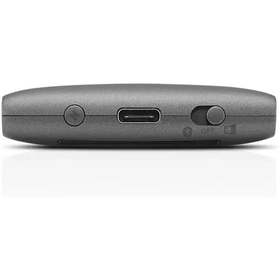grey mouse