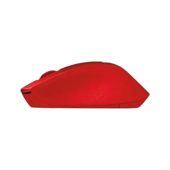 computer mouse