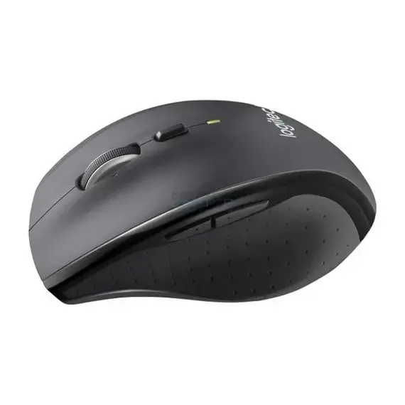 mouse egypt