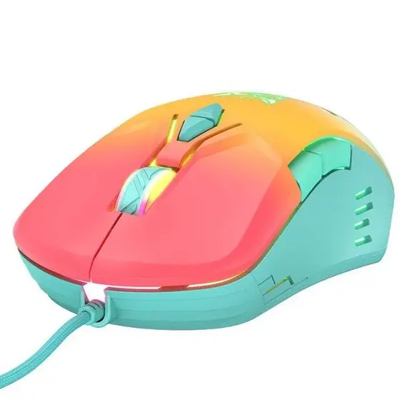 mouse