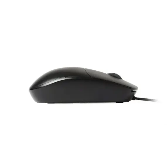 rapoo mouse price