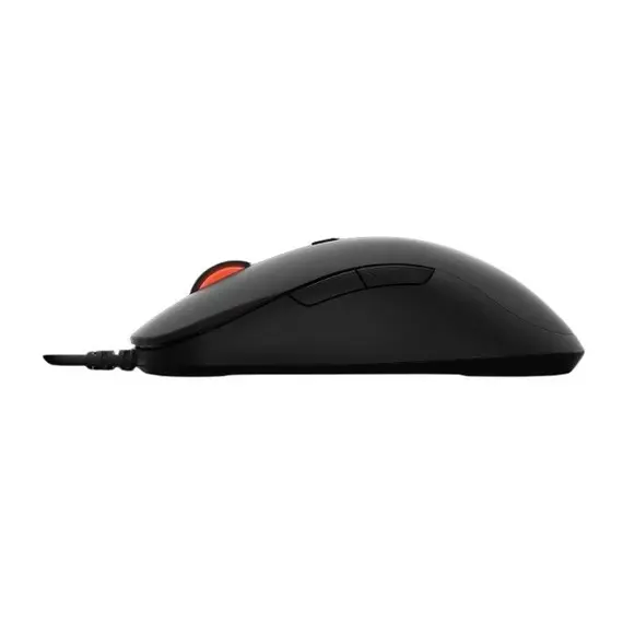 Mouse V16