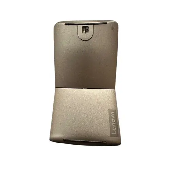 gold mouse