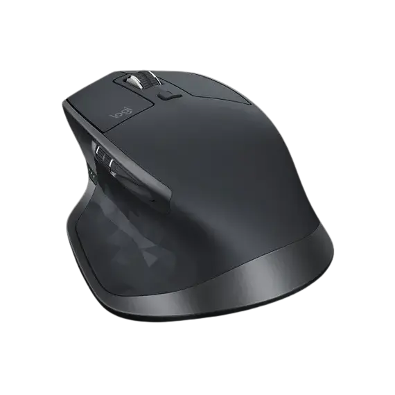 computer mouse