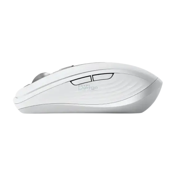 mouses