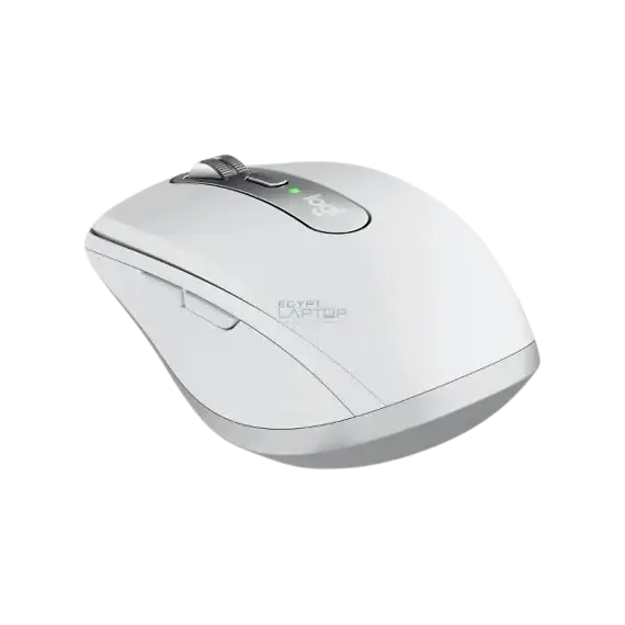 computer mouse