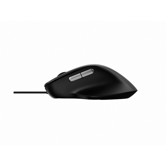computer mouse