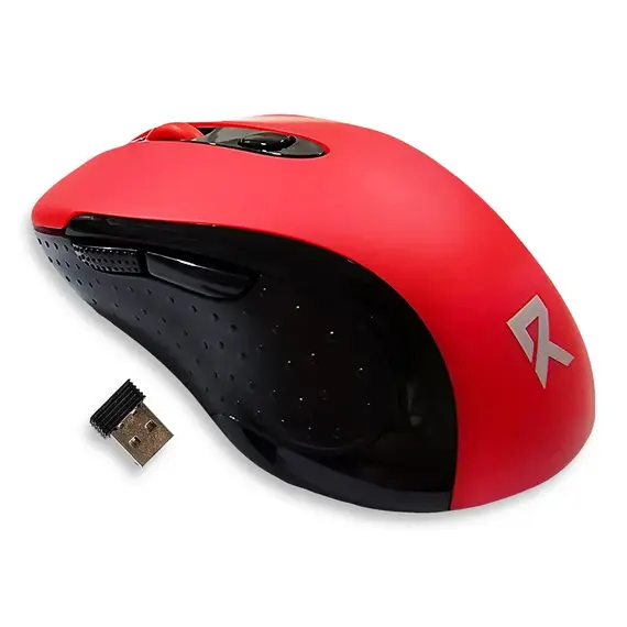 computer mouse