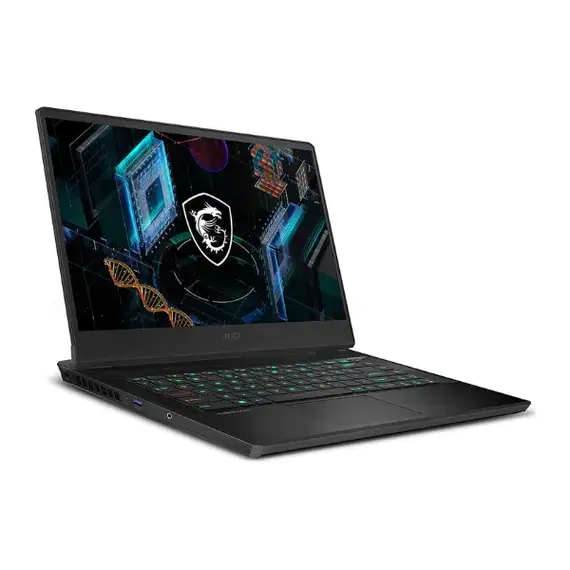 MSI GP66