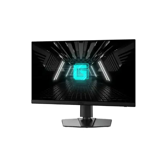 computer monitor