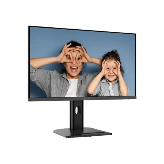pc monitor